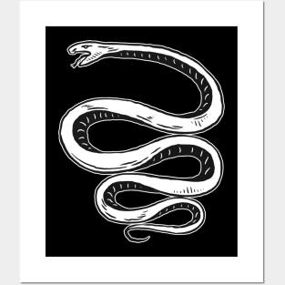 Snake Vintage Drawing Posters and Art